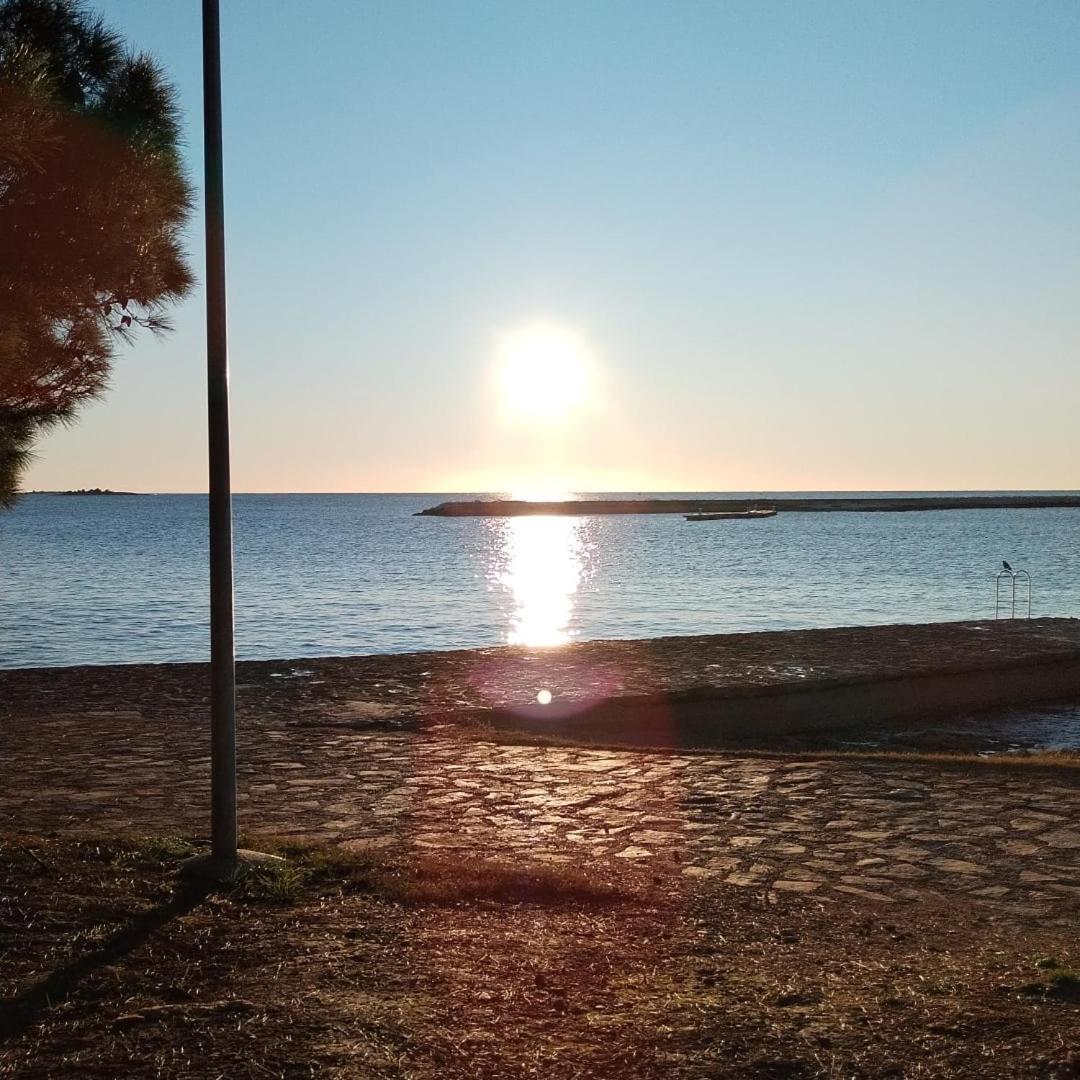 Apartment Exodus Porec